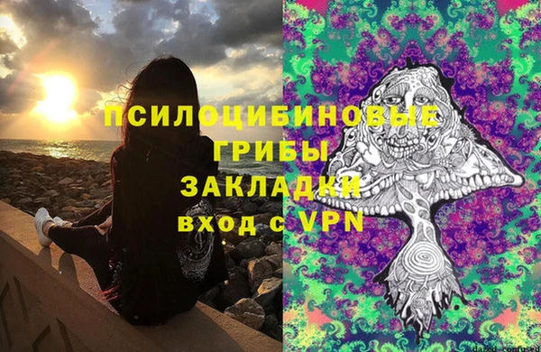 хмурый Алексеевка