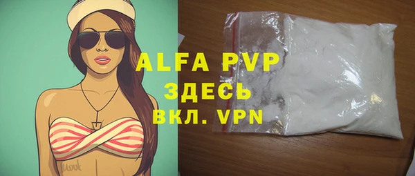 стаф Алексин