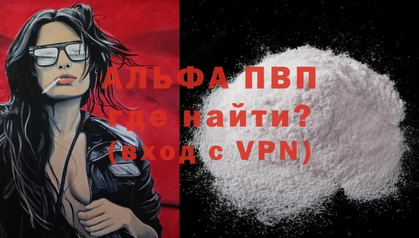 стаф Алексин