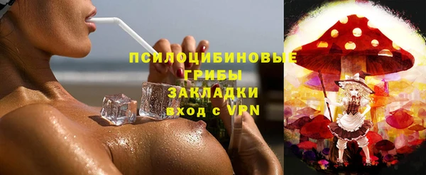 шишки Алзамай