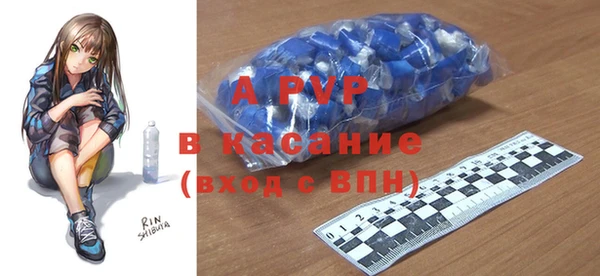 стаф Алексин
