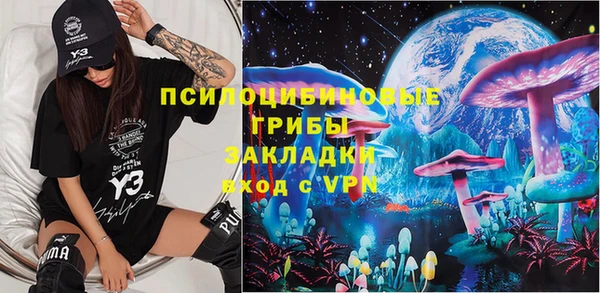 хмурый Алексеевка