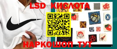 дмт Краснодар