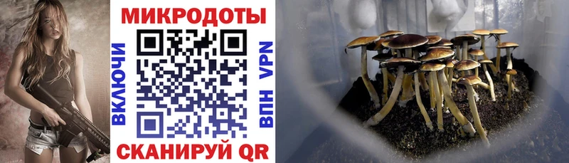 Галлюциногенные грибы Cubensis  hydra ссылки  Элиста  купить наркотики цена 