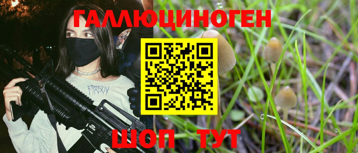 Элиста  Псилоцибиновые грибы Psilocybe  Вход с VPN  Псилоцибиновые грибы мухоморы 