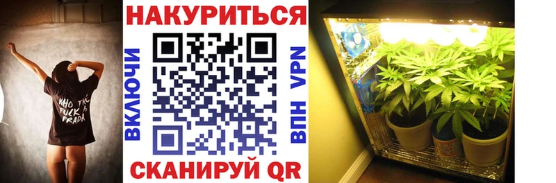купить   Элиста  Канабис Amnesia 